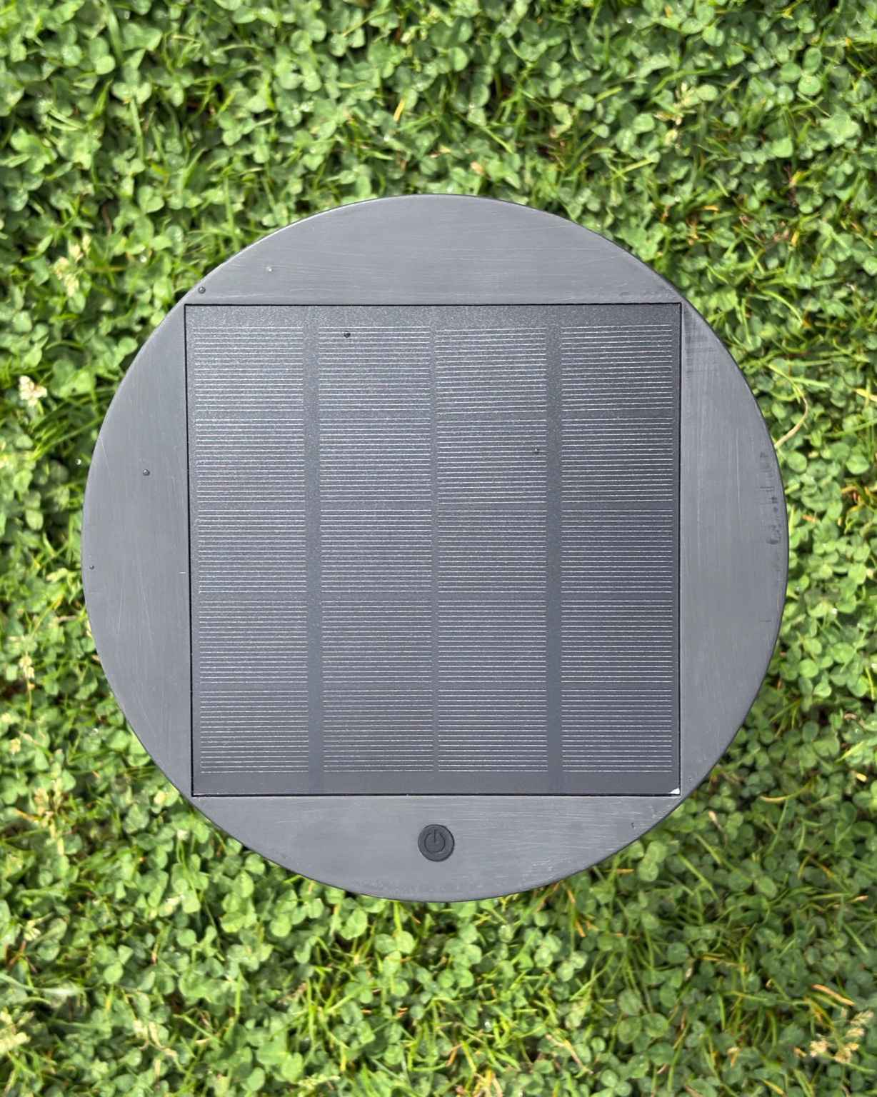 SunBuddi